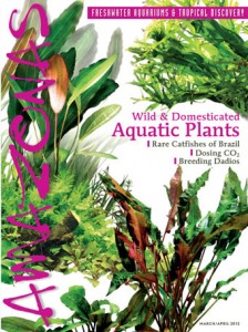 AMAZONAS Magazine, English edition, March / April 2012 issue.