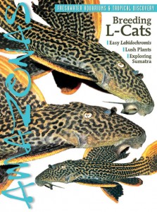 AMAZONAS Magazine, English edition, January/February 2012 isssue