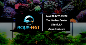 Aqua-Fest 2020