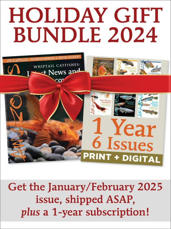 2024 AMAZONAS GIFT BUNDLE