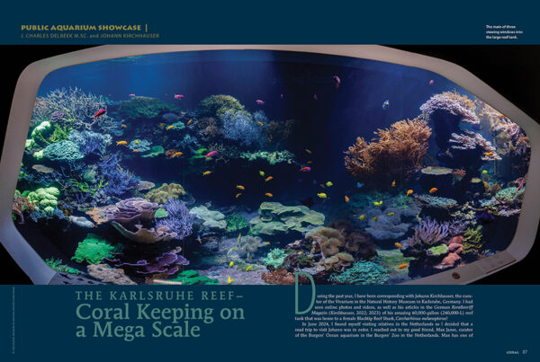 CORAL November/December 2024: SEABEDS - Image 8