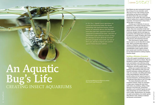 AMAZONAS Mar/Apr 2025: AQUATIC ARTHROPODS - Image 2