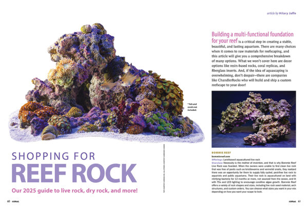 CORAL January/February 2025: ROCK YOUR REEF - Image 9